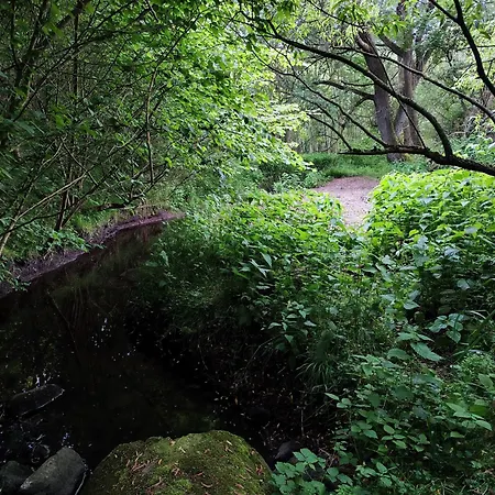 Apartment In Nature Nedderhagen