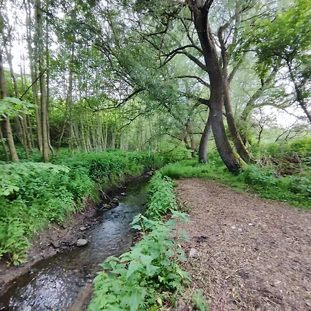 Appartement In Nature Nedderhagen *