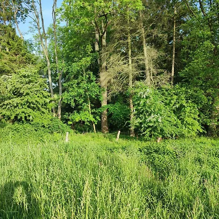 In Nature Nedderhagen Apartment Damshagen