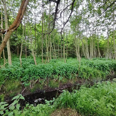 In Nature Nedderhagen *