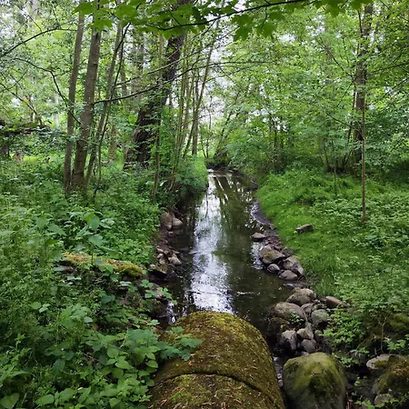 In Nature Nedderhagen *