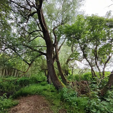 In Nature Nedderhagen * Damshagen