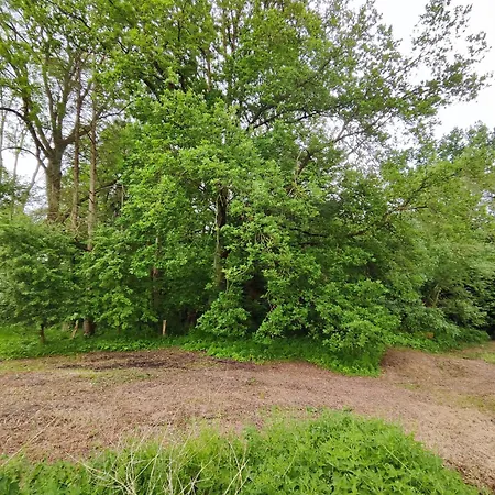 Appartement In Nature Nedderhagen