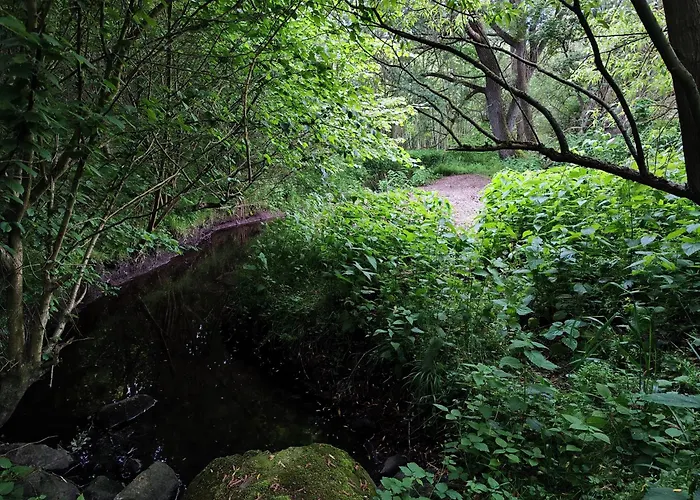 Διαμέρισμα In Nature Nedderhagen